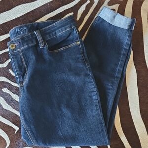 The Limited Skinny Ankle 678